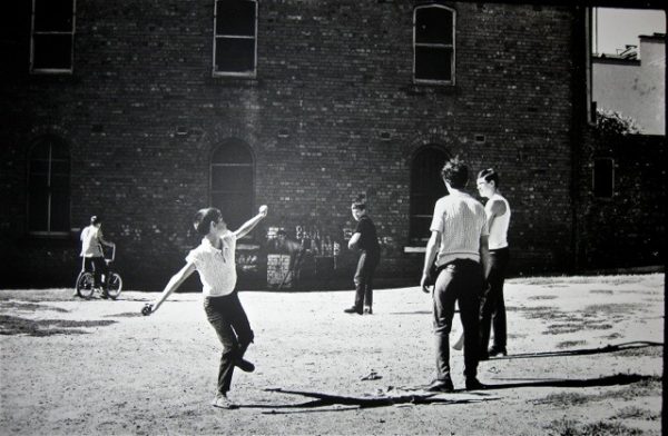 Cricket-on-vacant-block-now-Condell-Res-2_CL